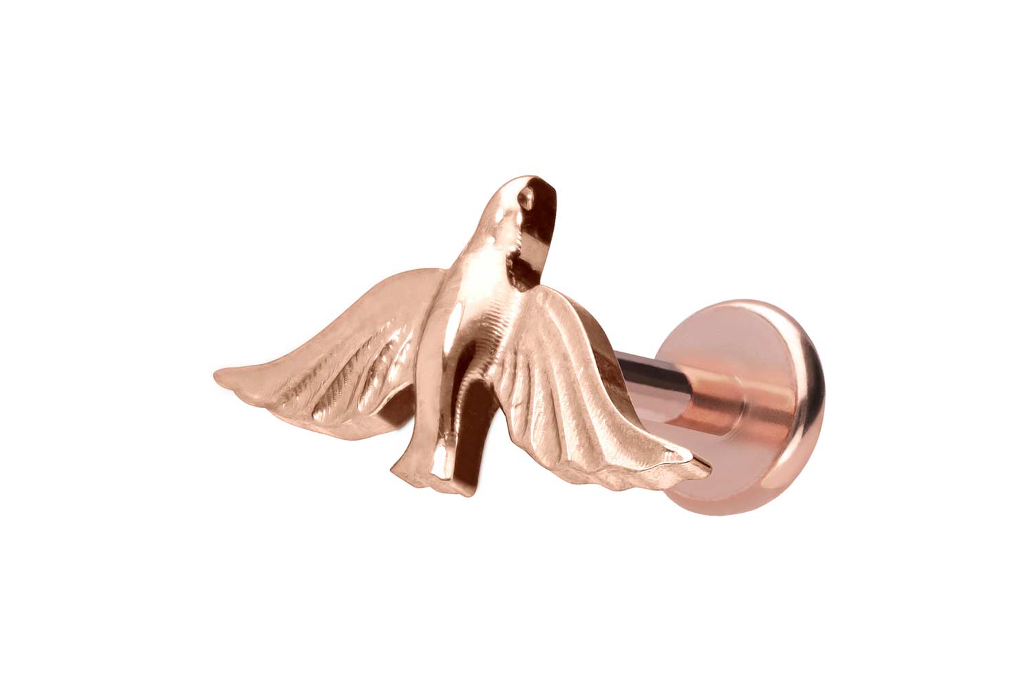Titan Labret Piercing mit Push Fit TAUBE
